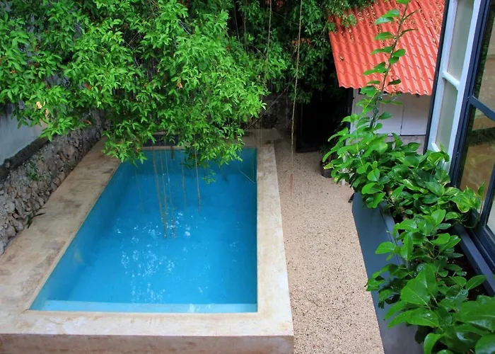 Oasis With Natural Pool In The Heart Of Merida