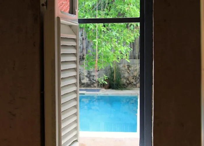 Oasis With Natural Pool In The Heart Of Merida